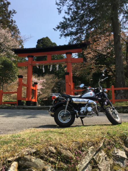 ゅーこさんが投稿したツーリング情報