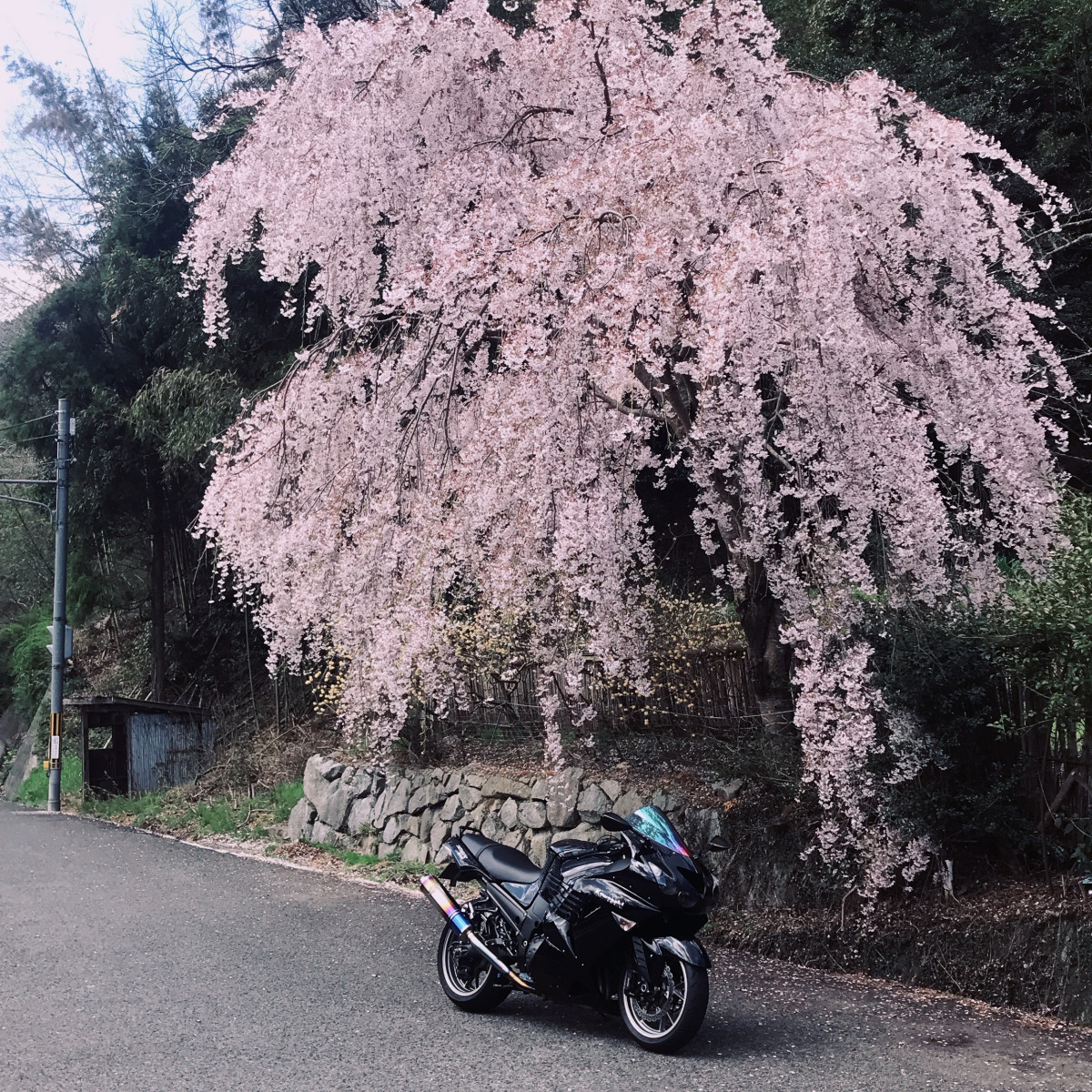 ISSAさんが投稿したツーリング情報