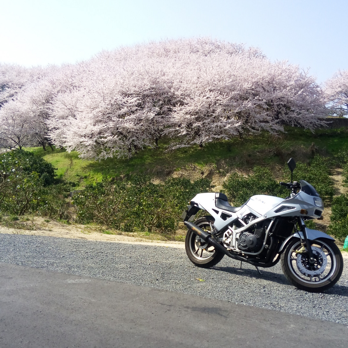 投稿詳細｜MOTOCLE