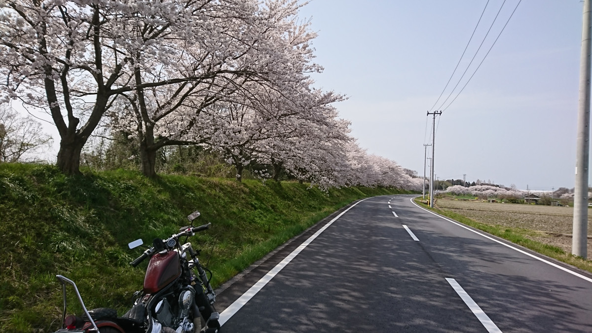 takuroさんが投稿したツーリング情報