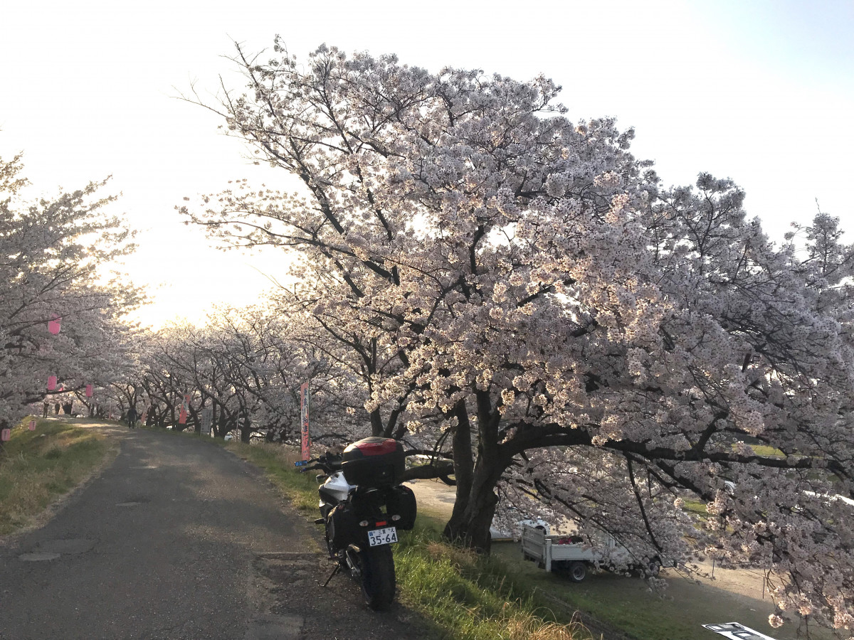 fuu750gsさんが投稿したツーリング情報