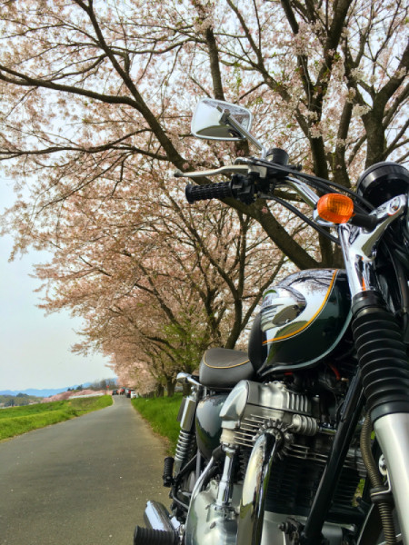 おかぴさんが投稿したツーリング情報