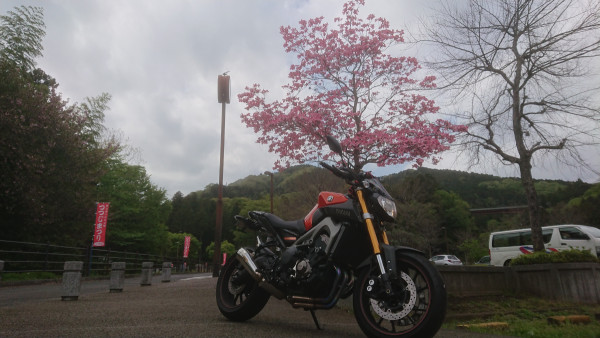 bandersnachさんが投稿したツーリング情報