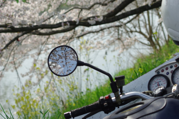Yasu Shiroさんが投稿したツーリング情報