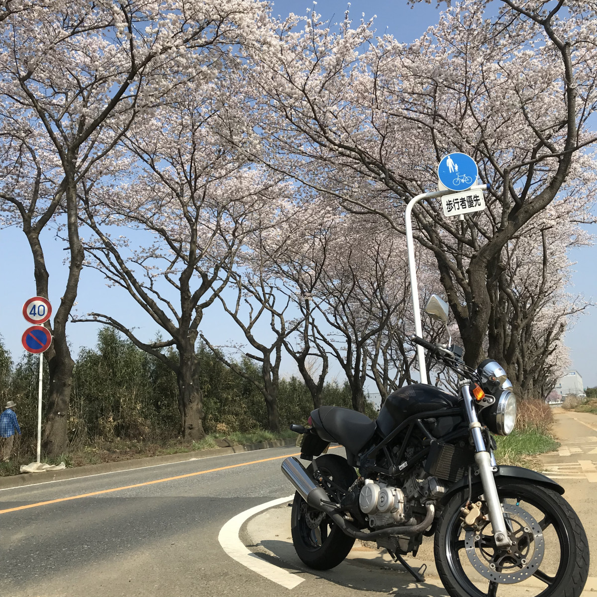 Dai Sirakawaさんが投稿したツーリング情報