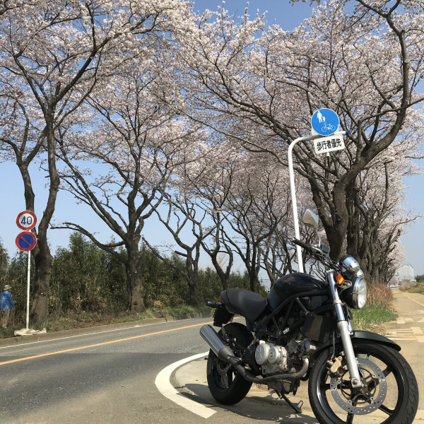 Dai Sirakawaさんが投稿したツーリング情報