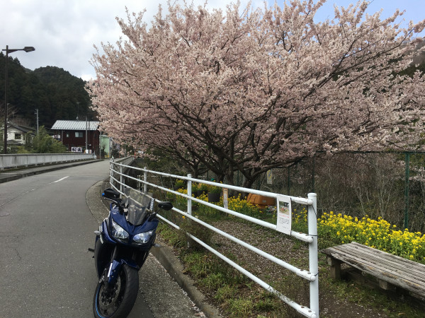 皿うどんさんが投稿したツーリング情報