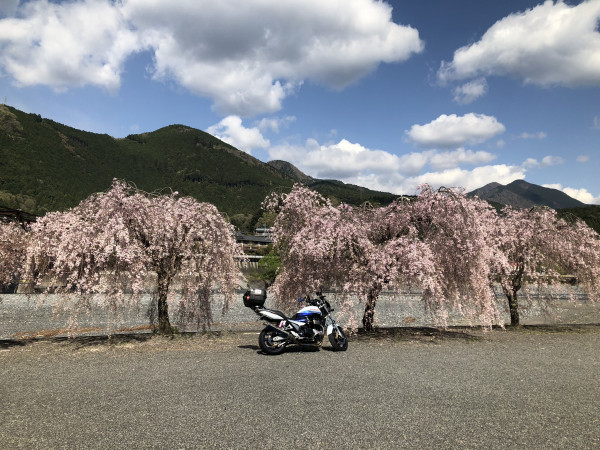千葉光利さんが投稿したツーリング情報