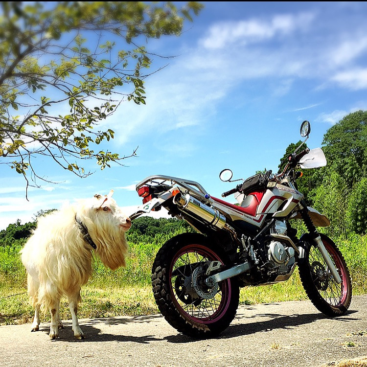 toshi＿xsr900さんが投稿したツーリング情報