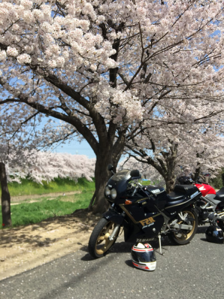 特車二課 カーシャさんが投稿したツーリング情報