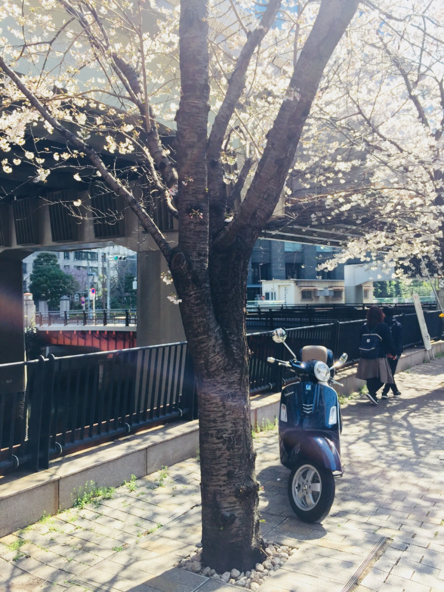 おさんぽライダーさんが投稿したツーリング情報