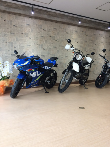 310motoringさんが投稿したツーリング情報