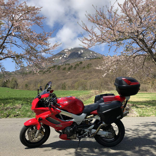 アンタレスさんが投稿したツーリング情報