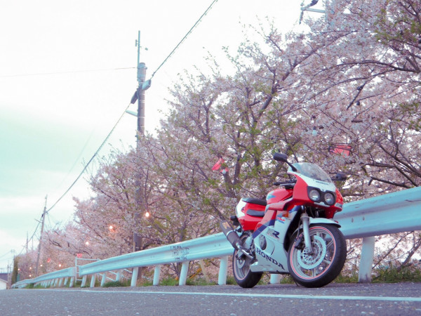neruさんが投稿したツーリング情報