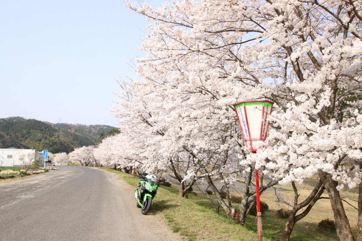 宮ninja250さんが投稿したツーリング情報