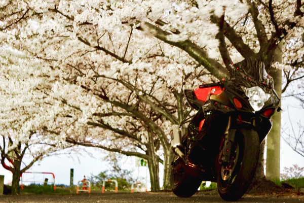 あきさんが投稿した愛車情報(GSX-R1000)