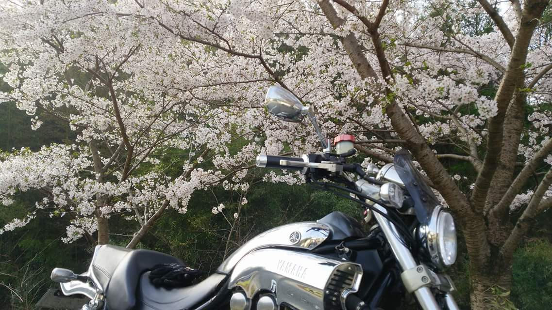 yamatodamasiさんが投稿したツーリング情報