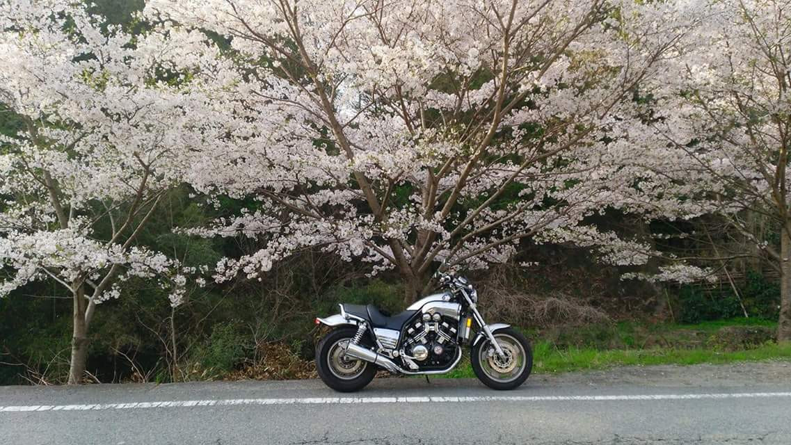 yamatodamasiさんが投稿したツーリング情報